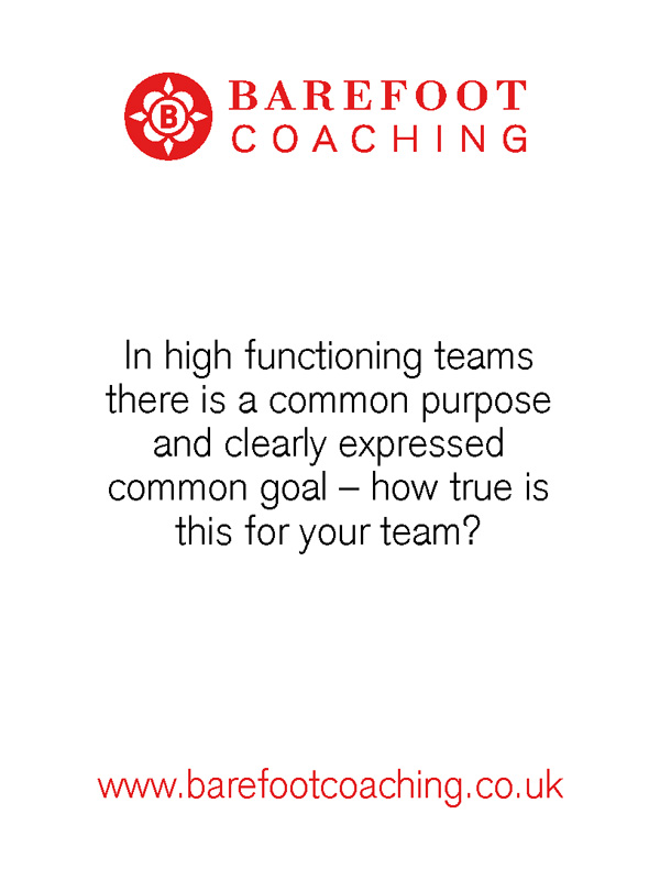 Team Coaching Practitioner Programme