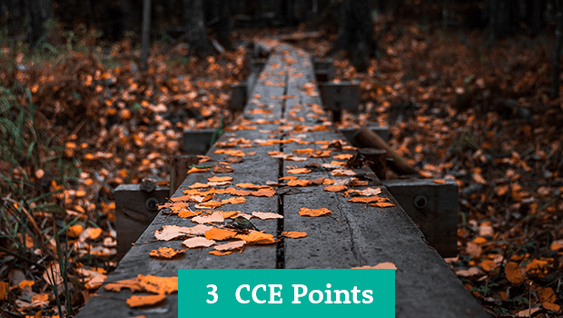 Coaching for Grief and Loss