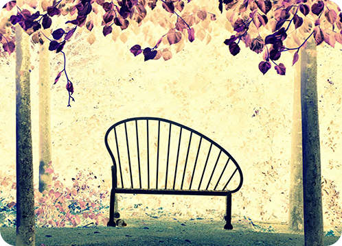 Grief and Loss